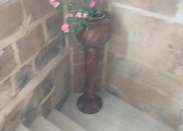 Alloggio in famiglia 6